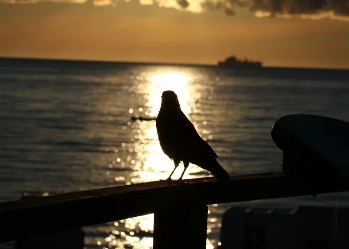 Maris Nr 46 Eg Mit Terrasse *