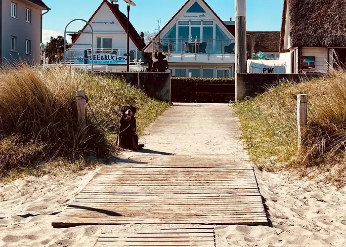 Maris Nr 46 Eg Mit Terrasse Scharbeutz