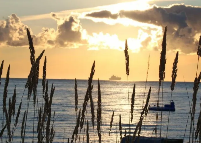 Appartement Maris Nr 46 Eg Mit Terrasse